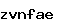 스팸방지코드